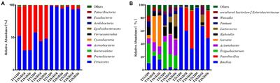 Effects of ambient temperature and available sugar on bacterial community of Pennisetum sinese leaf: An in vitro study